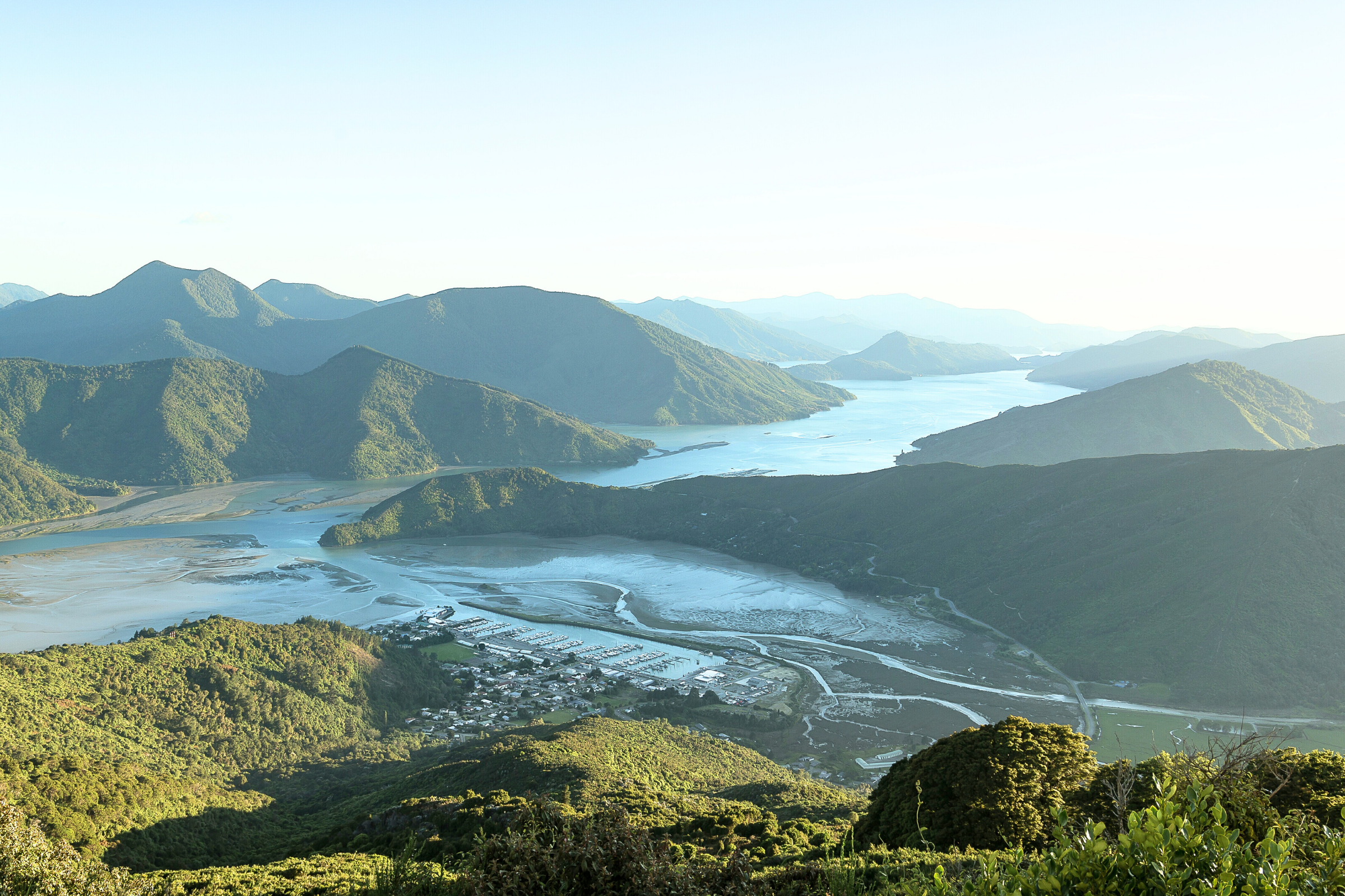 pelorus sound (2).webp